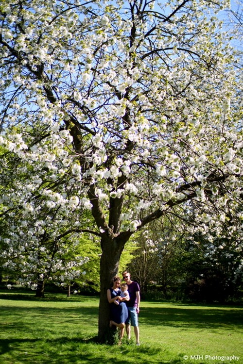 Spring family